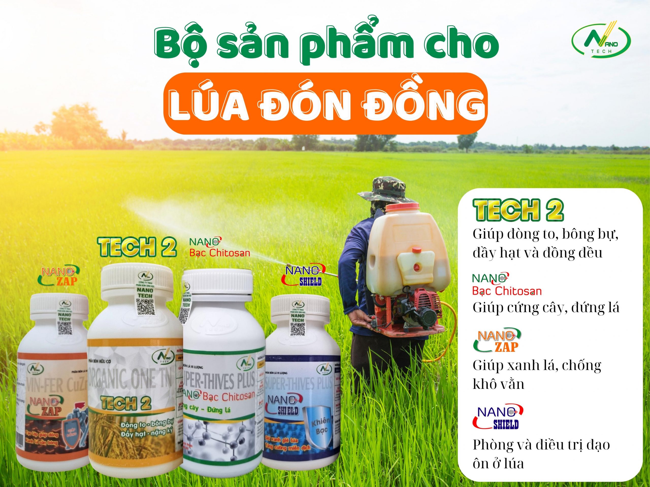 Kỹ thuật bón phân lúa giai đoạn Đón và Nuôi Đòng