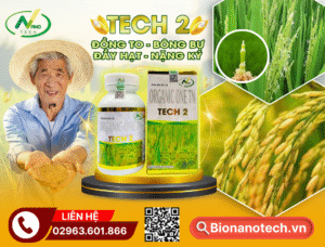 TECH 2 – GIẢI PHÁP TỪ CÔNG NGHỆ SINH HỌC CHO GIAI ĐOẠN LÚA ĐÒNG