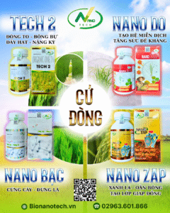 COMBO ĐÓN ĐÒNG – KHỎE TỪ LÁ, CHẮC TỪ BÔNG!