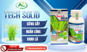 TECH SOLID – CỨNG CÂY, ĐẸP LÁ, TỐI ƯU NĂNG SUẤT
