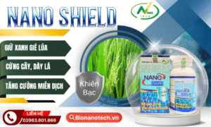 NANO SHIELD – BÍ QUYẾT GIỮ XANH LÁ ĐÒNG, SÁNG BÔNG – CHẮC HẠT SUỐT VỤ MÙA!