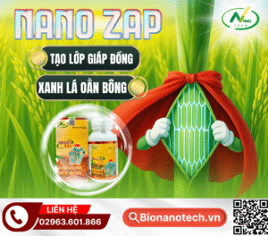 NANO ZAP - TẠO LỚP GIÁP ĐỒNG, XANH LÁ OẰN BÔNG