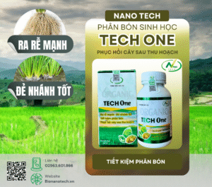 TECH ONE – PHÂN BÓN HỮU CƠ KÍCH RỄ CỰC MẠNH, CÂY CHẮC KHỎE, RỬA SẠCH ĐẤT PHÈN