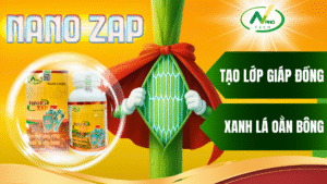 NANO ZAP - TẠO LỚP GIÁP ĐỒNG, XANH LÁ OẰN BÔNG