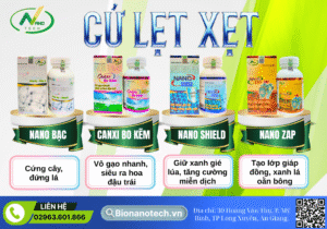 Combo Lẹt Xẹt – Bí kíp giữ gié xanh, trổ đều đẹp, bông oằn nặng trĩu