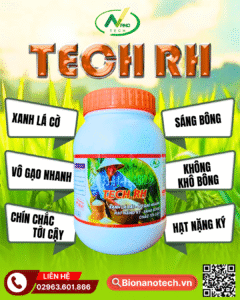 TECH RH - XANH LÁ CỜ, VÔ GẠO NHANH, SÁNG BÔNG, NẶNG KÝ, CHÍN CHẮC TỚI CẬY